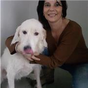 Insegnante materie umanistiche